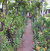 Nazareth House Fourteen Streams